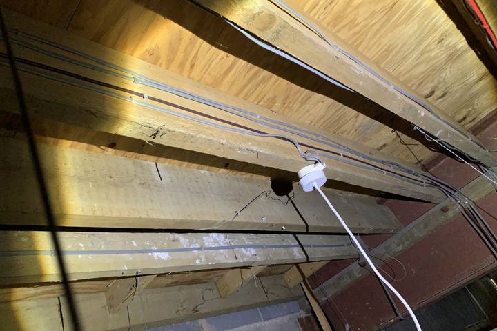 Timber purlins and rafters inspected by torch in a roof void