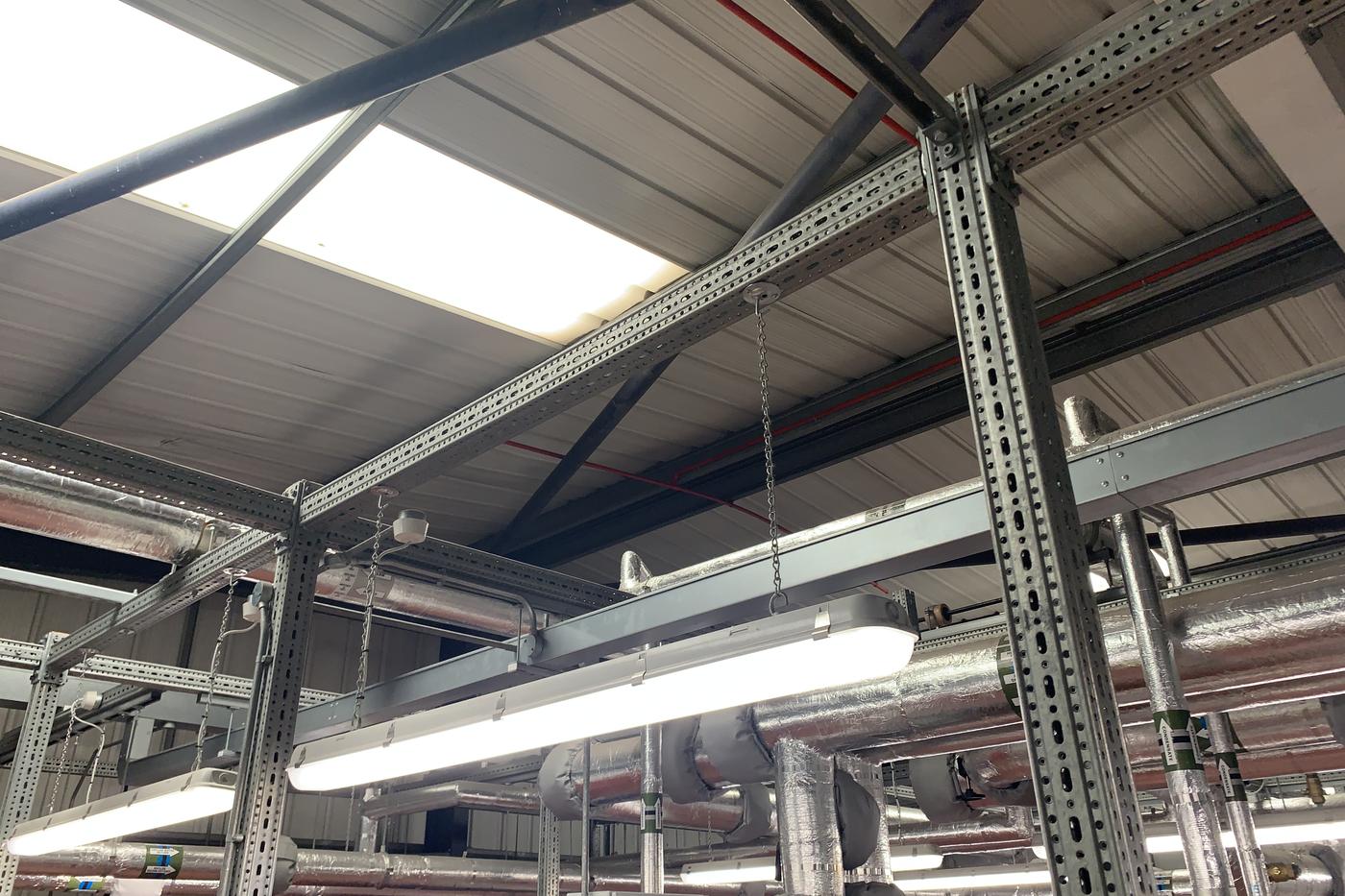 Steel roof frame with suspended services and plant