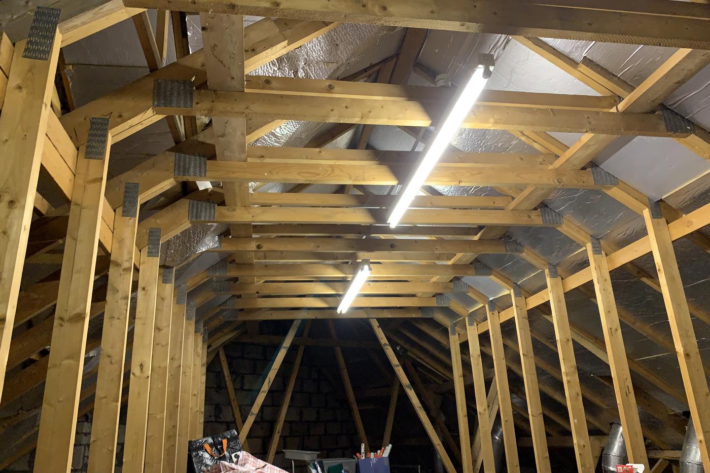 Timber trussed rafters inspected in a roof void
