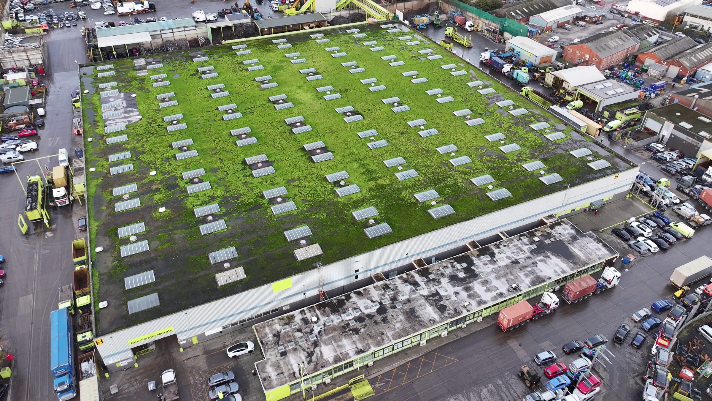 Drone aerial of commercial industrial building roof showing extensive moss and vegetation growth across membrane surface: visible drainage and condition defects captured during a roof condition assessment for commercial solar PV pre-installation